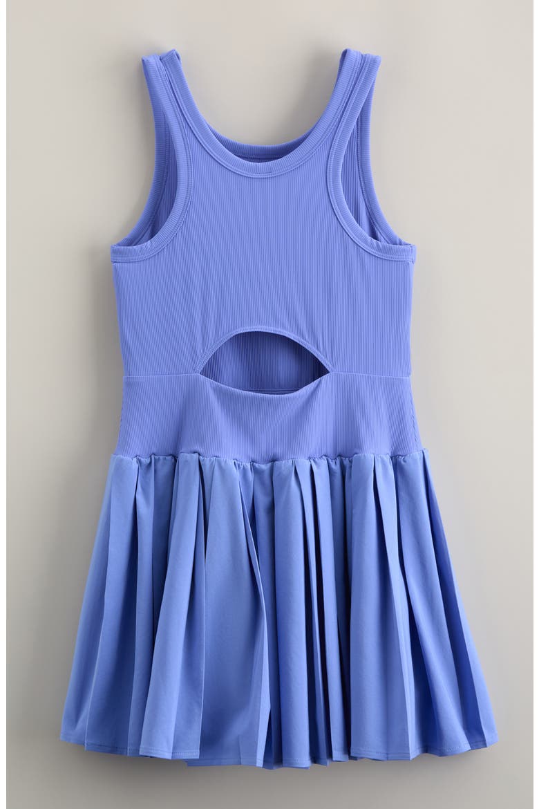 Kids' Deuce Ribbed Bodice Pleated Skirt Dress, Alternate, color, BLUE PERSIA