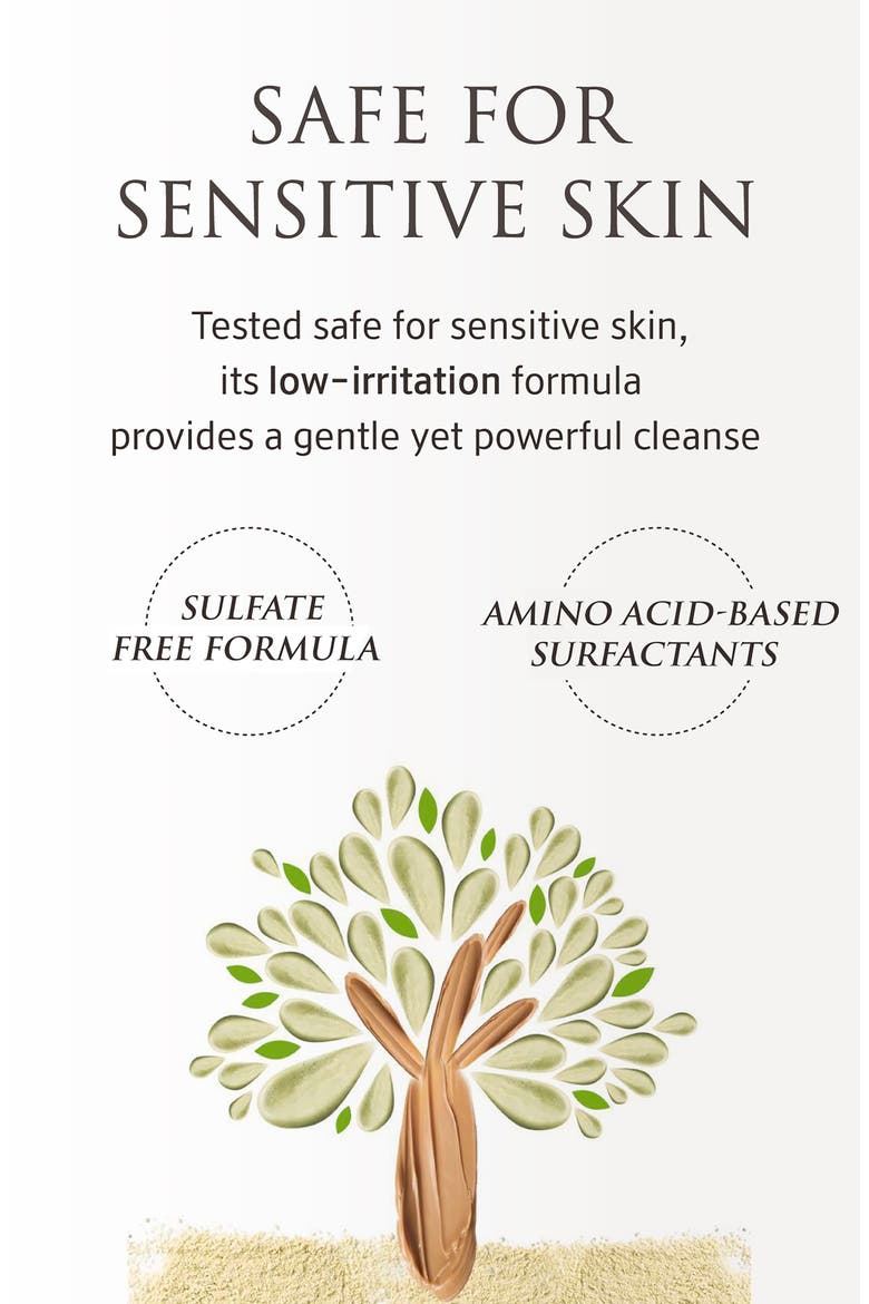 Whole Plant Effect Foam Cleanser, Alternate, color, NO COLOR