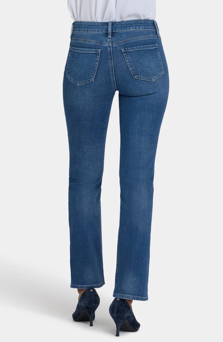 NYDJ Marilyn Embellished Straight Leg Jeans, Alternate, color, Lake Notre-Dame