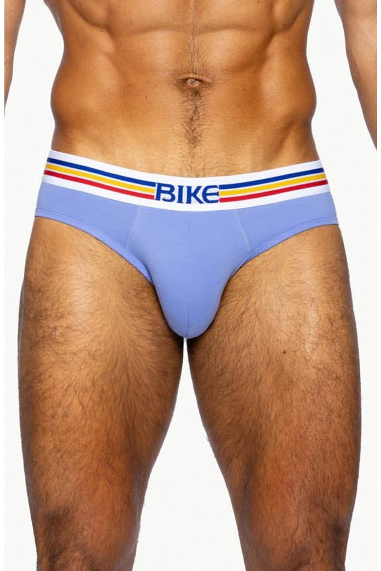 Stretch Cotton Briefs, Main, color, PURPLE