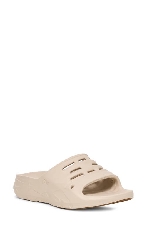 Teva Apretrail Slide Sandal In Birch