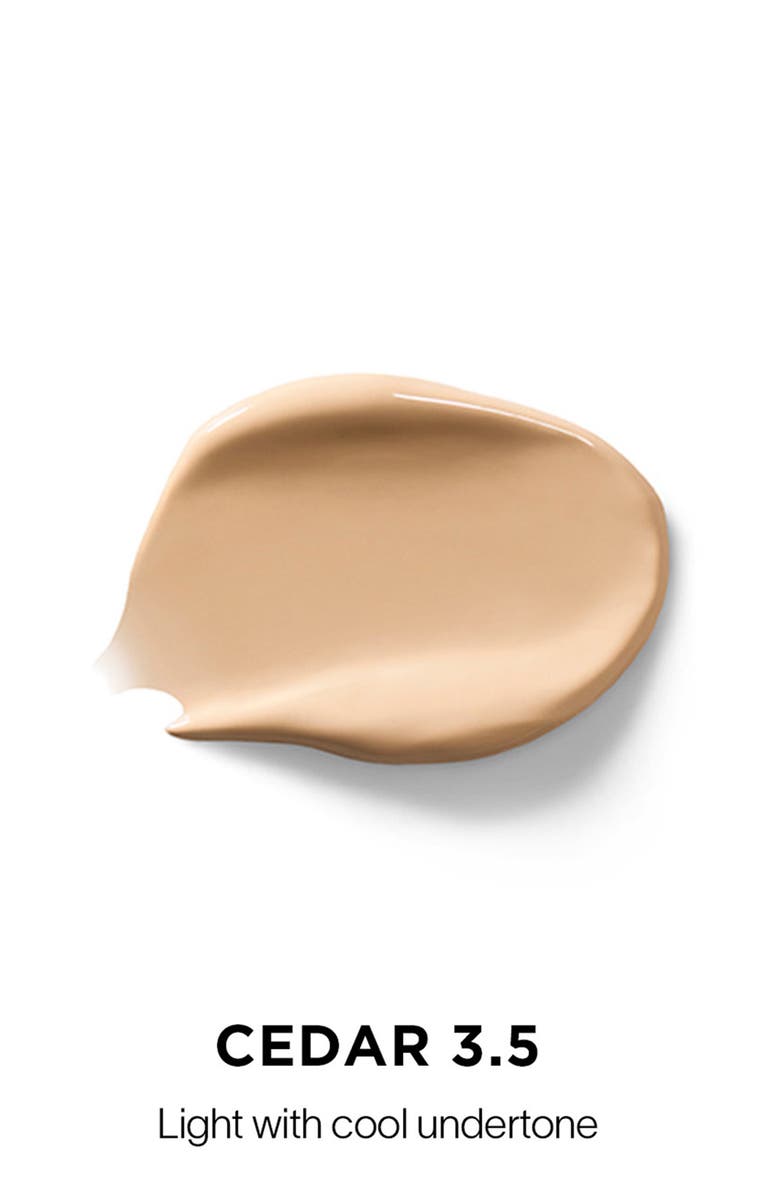 Vanish Airbrush Concealer