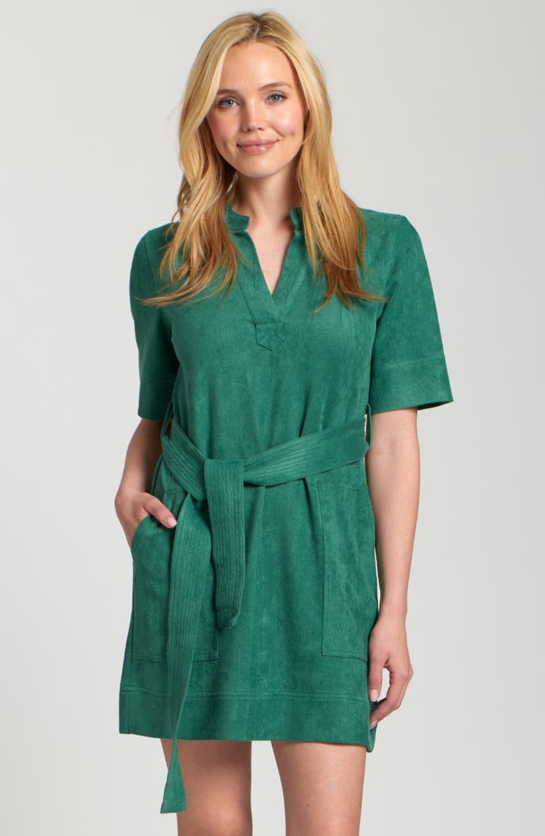 APNY Faux Suede Belted Dress, Alternate, color,