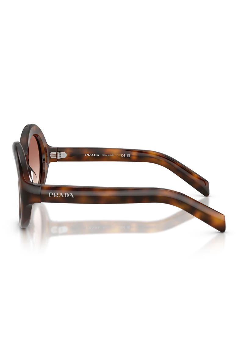 53mm Gradient Round Sunglasses, Alternate, color, TORTOISE / BROWN BORDEAUX