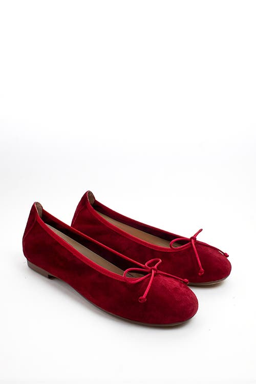 Menina Step Sofia Elastic Suede Ballet Flat In Red
