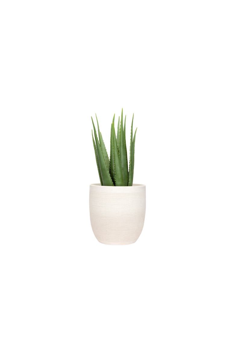 Coastal Embossed Textured Stoneware Planter, Matte White, Alternate, color, Cream