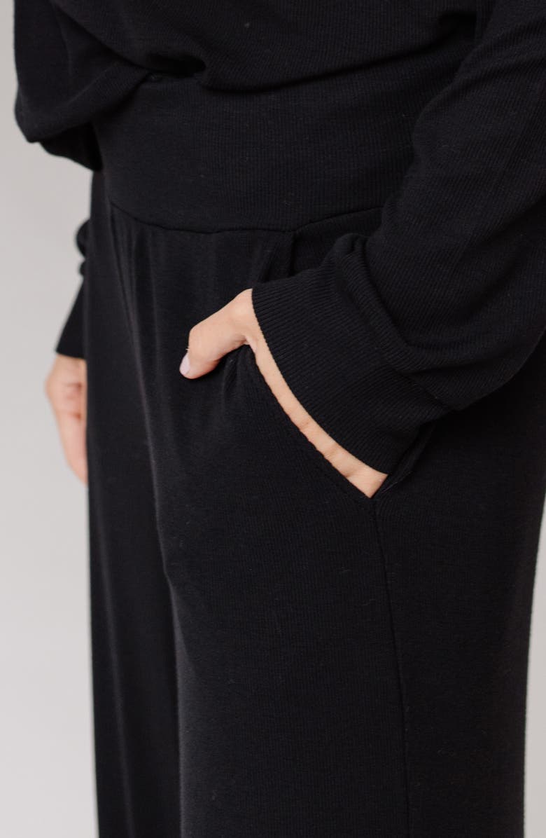 Cozy Earth Rib Pajama Pants, Alternate, color, Black