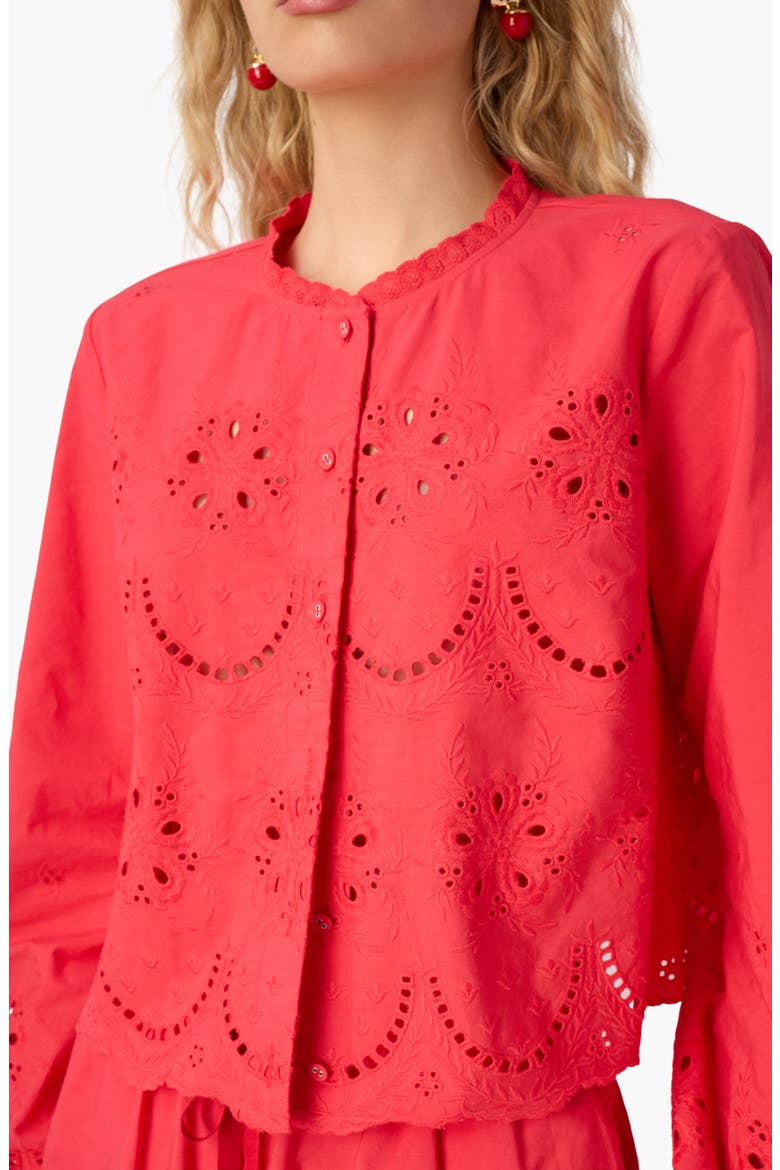 Kalena Embroidered Eyelet Long Sleeve Cotton Top, Alternate, color, CANDY APPLE