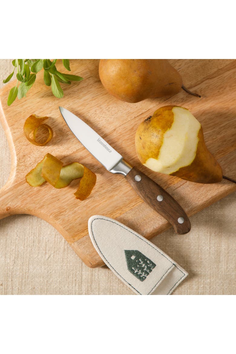 German Steel Paring Knife, Alternate, color, Natural Wood
