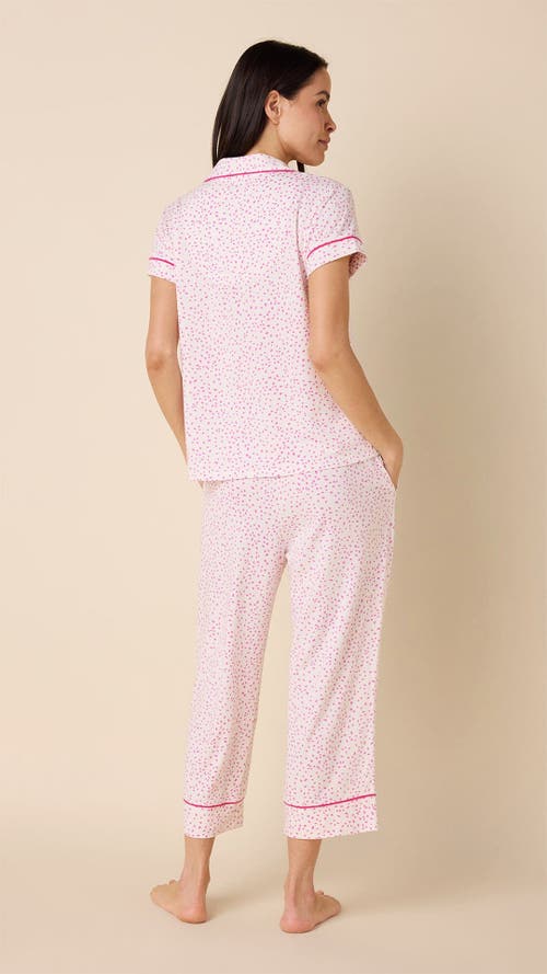 The Cat's Pajamas Pima Knit Capri Set