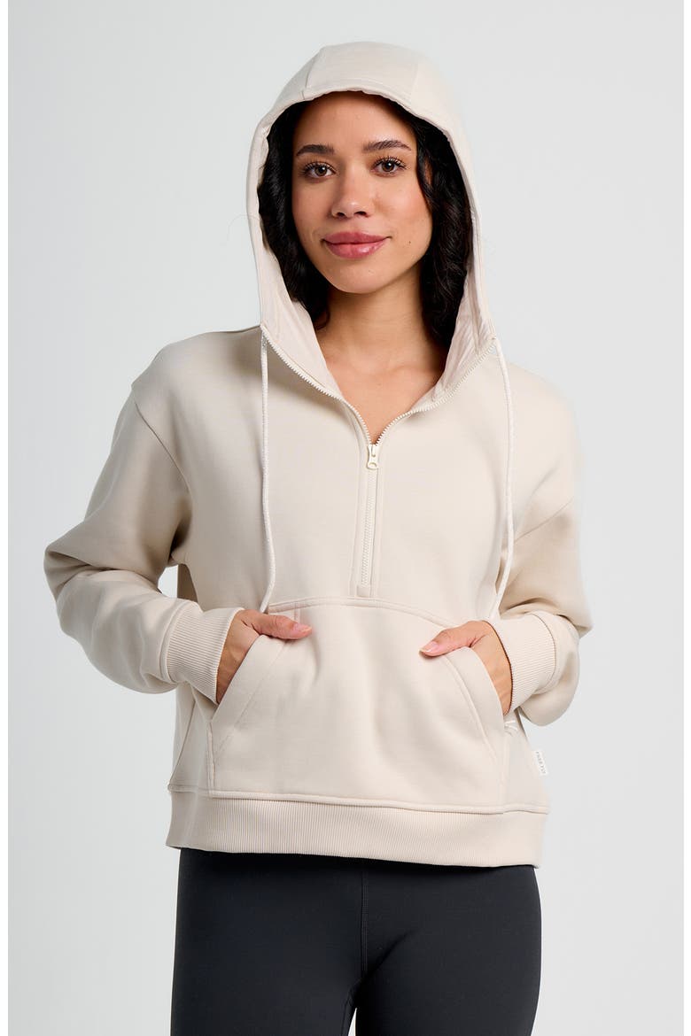 Northcoast Fleece Half Zip Hoodie, Alternate, color, STONE