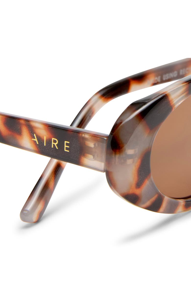 AIRE Fornax 53mm Oval Sunglasses, Alternate, color, Cookie Tort
