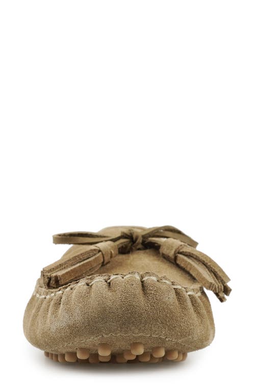 National Comfort Shyanne Suede Loafer In Taupe Suede