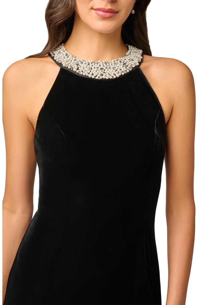 Beaded Neck Sleeveless Velvet Gown, Alternate, color, BLACK