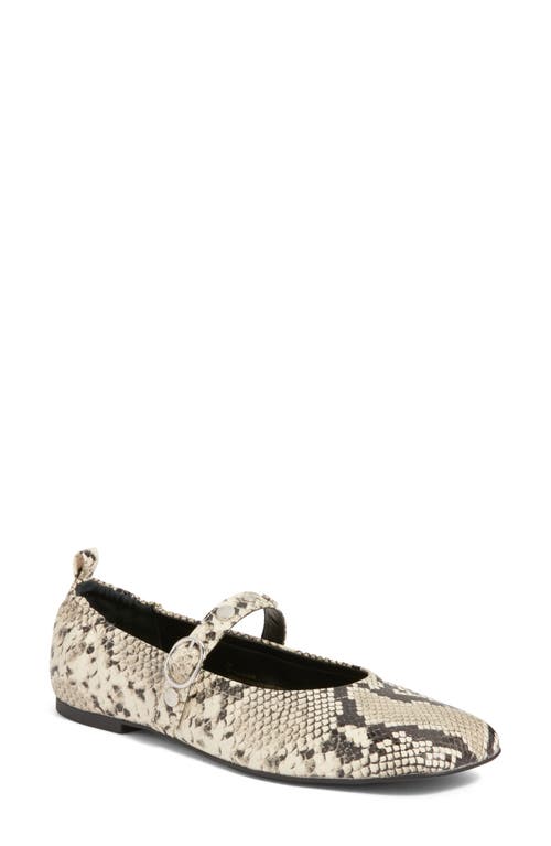 Open Edit Amethyst Mary Jane Ballet Flat In Multi