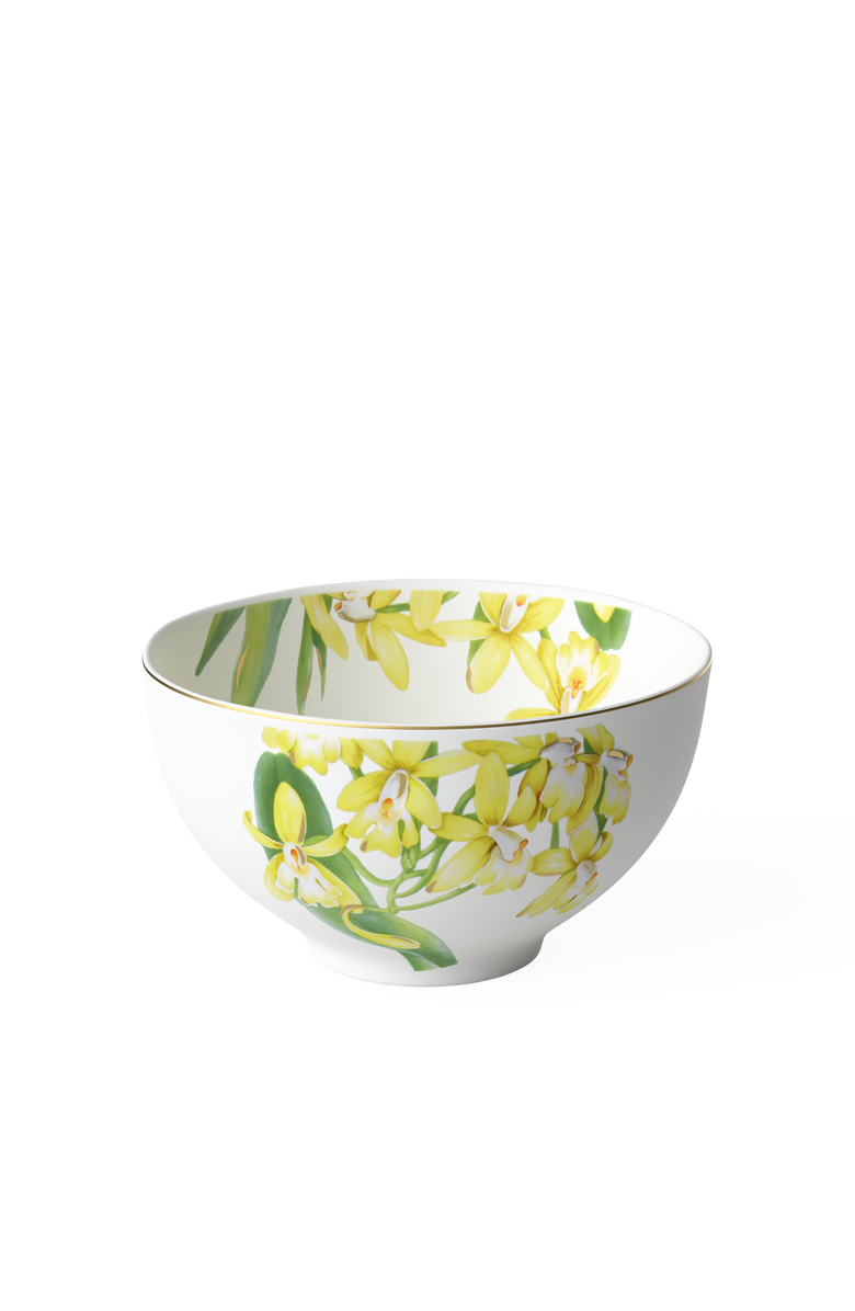Villeroy & Boch Amazonia Bowl, Main, color, 
