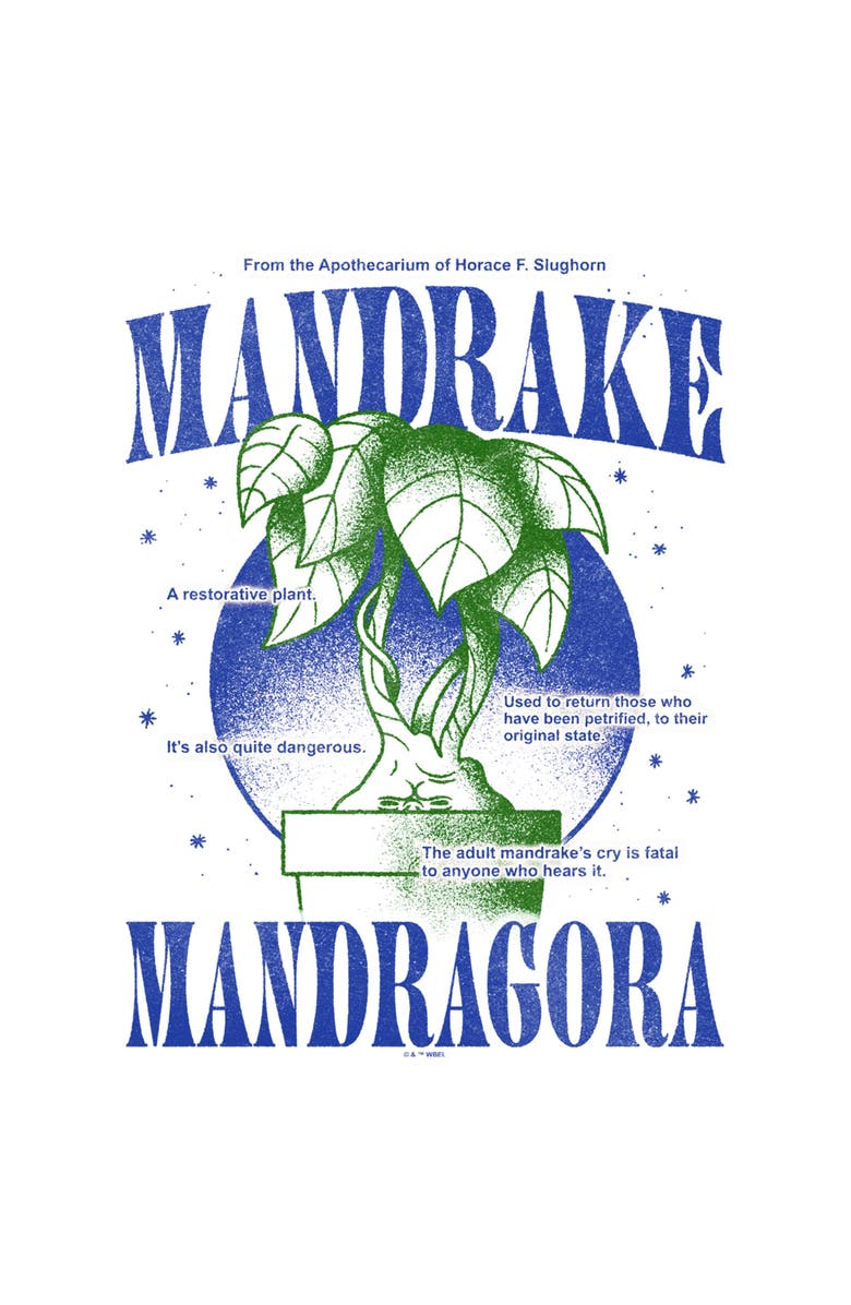 HARRY POTTER Men's Harry Potter Mandrake Mandragora Graphic T-Shirt, Alternate, color, White