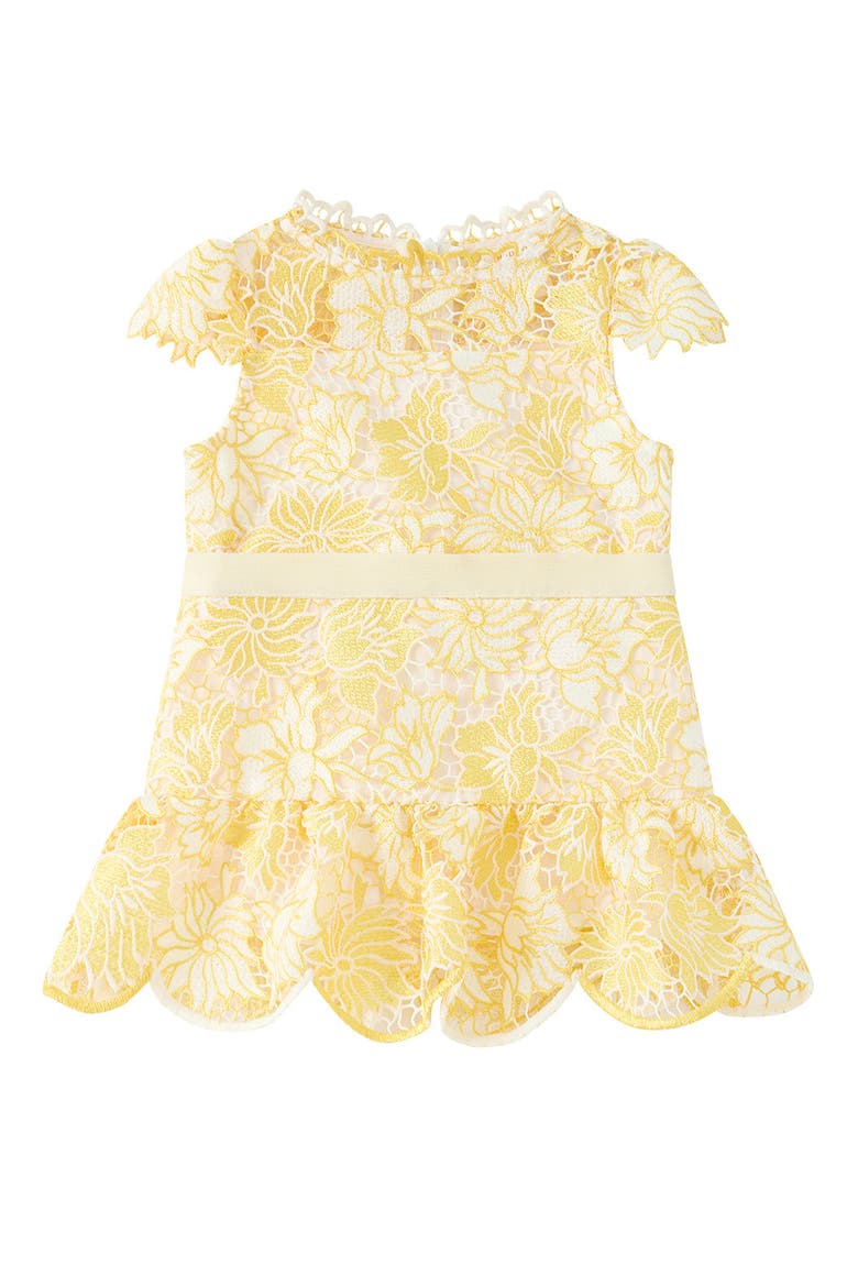Cassandra Embroidered Mini Dress, Main, color, Yellow