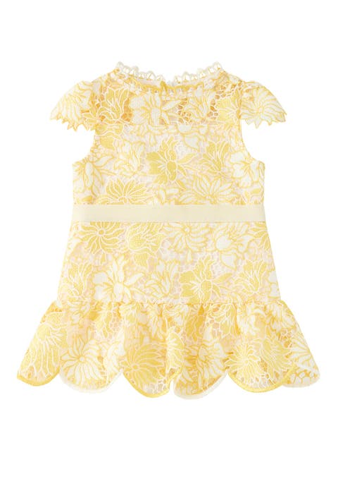 Cassandra Embroidered Mini Dress