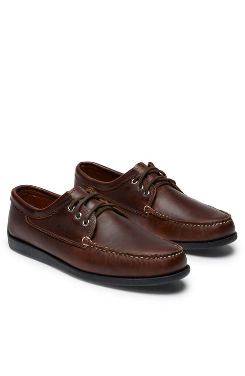 Quoddy Blucher Shoe In Brown