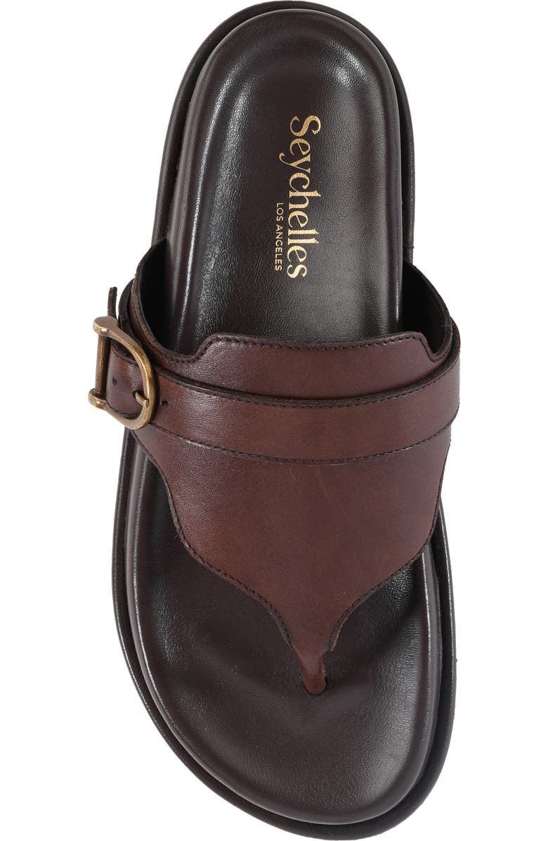 Seychelles Santa Cruz Sandal, Alternate, color, Dark Brown