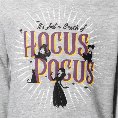 Disney Hocus Pocus Pullover Hoodie In Gray