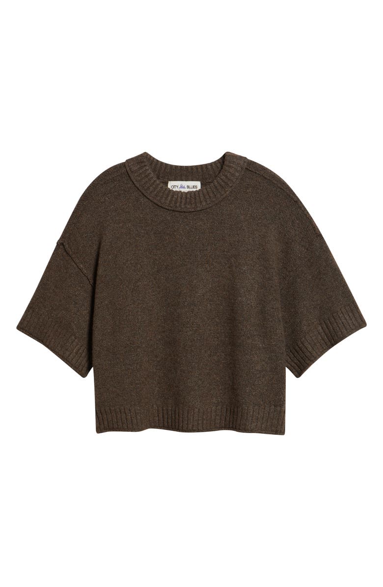 CITY BLUES Broome Crop Short Sleeve Sweater, Alternate, color, Earth