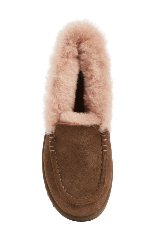 Ugg(r) Ansley Parc Genuine Shearling Platform Slipper In Brown