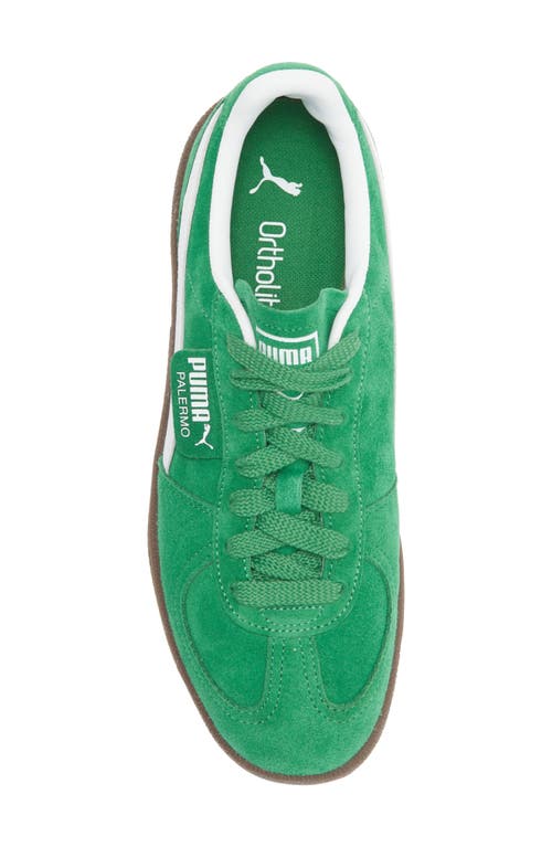 Puma Palermo Suede Sneakers In Green