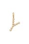  Gold Vermeil Initial Y