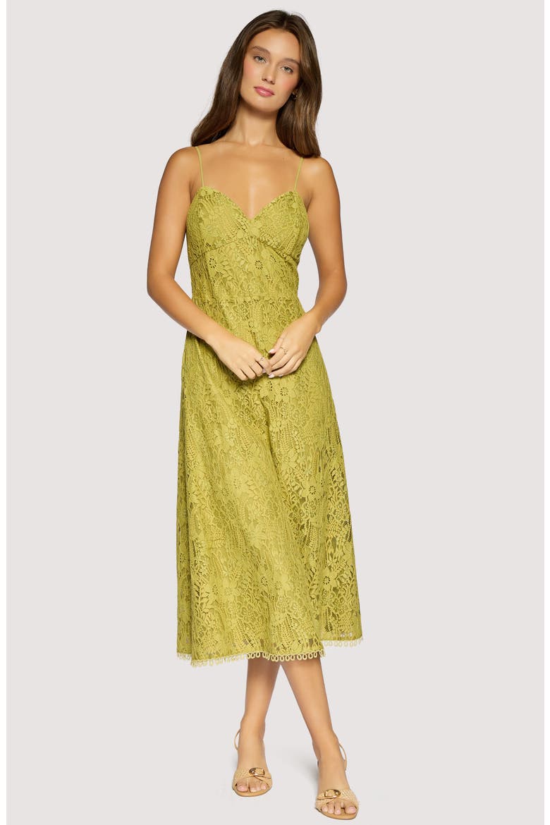 Serafina Floral Lace Cotton Blend Midi Dress, Alternate, color, GREEN