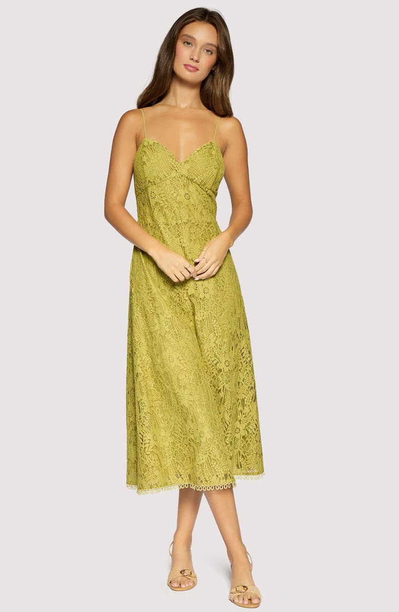 Lost + Wander Serafina Floral Lace Cotton Blend Midi Dress, Alternate, color, Green
