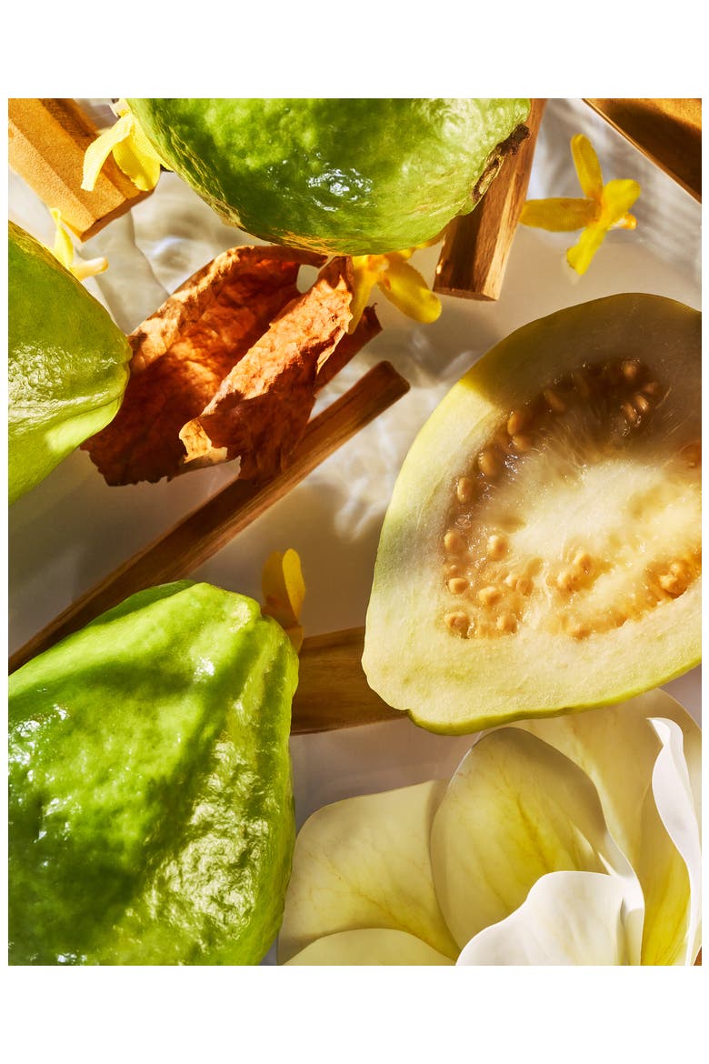 Isola Verde Parfum, Alternate, color, NO COLOR