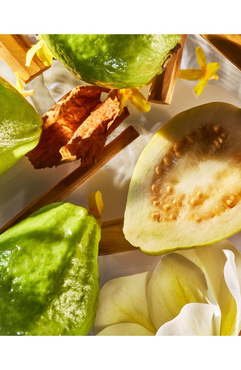 ROJA Isola Verde Parfum, Alternate, color,