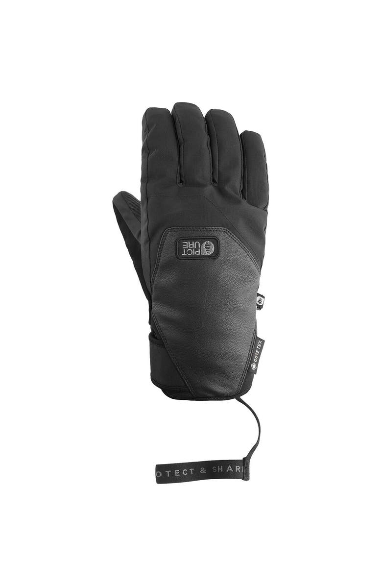 Picture Organic Pioneer Gtx Glove - Men's, Main, color, Black