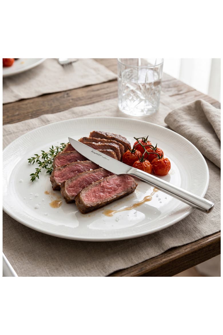 Leo Pure 4-Piece Steak Knife Set, Alternate, color, SILVER