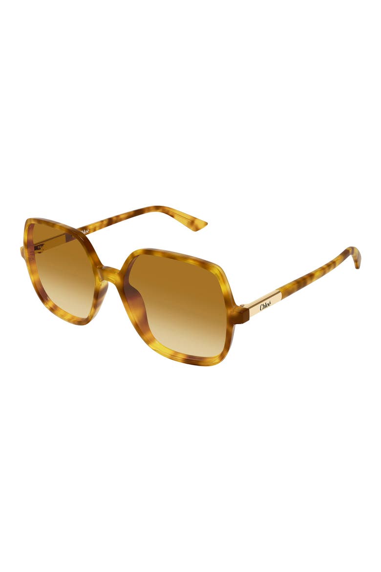 55mm Gradient Geometric Sunglasses, Alternate, color, HAVANA
