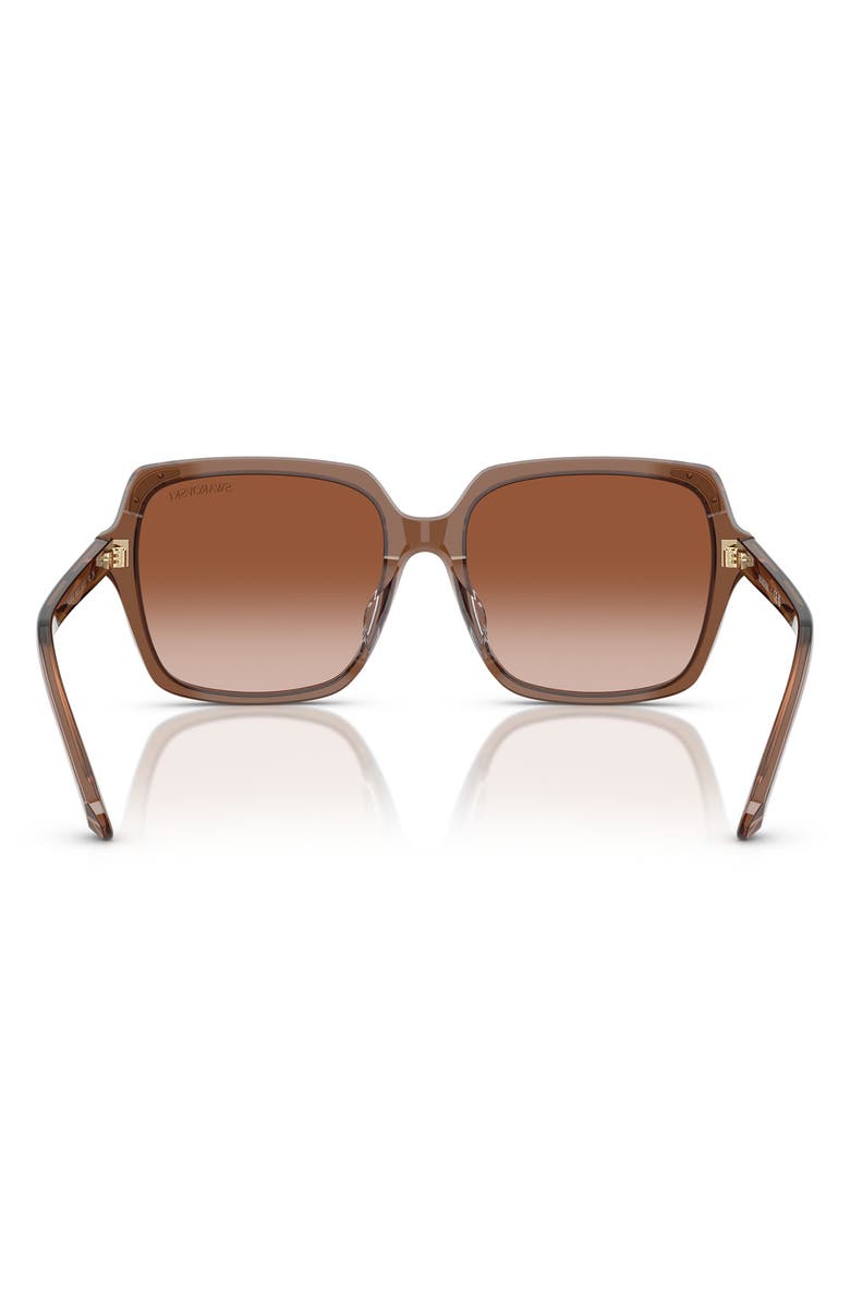 Swarovski 56mm Gradient Square Sunglasses, Alternate, color, Transparent Brown