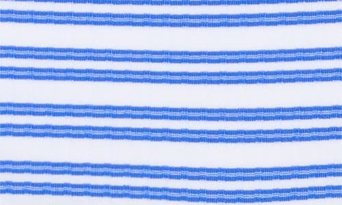 Vitamin A ® Midori Stripe Bikini Bottoms In Blue Stripe