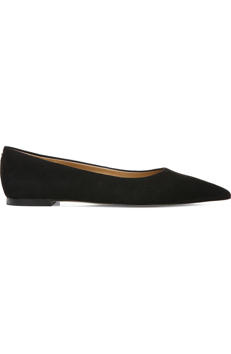 Sam Edelman Wanda Pointed Toe Flat - Wide Width Available, Alternate, color,