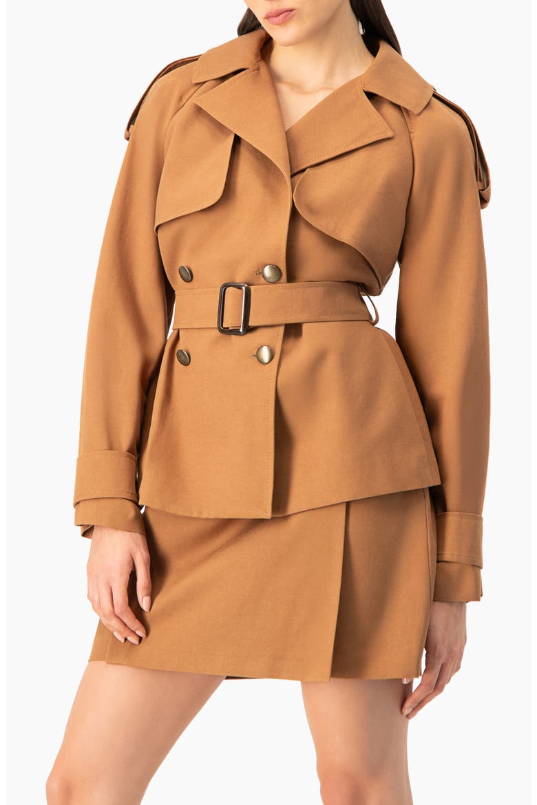 Short Double-Breasted Trench Coat, Alternate, color, Brown