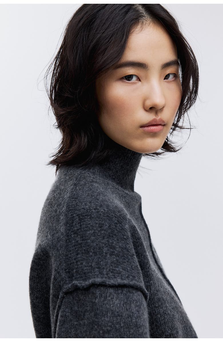 H&M Seam-detail Turtleneck Jumper, Alternate, color, Dark Gray Melange