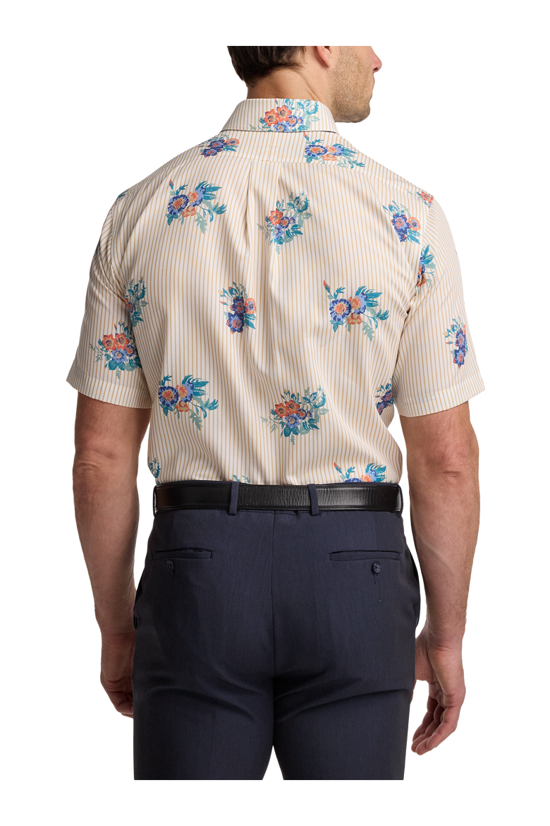 Cotton Buttondown Collar Poplin Classic Contrast Trim Hemmed Sleeve Short Sleeve Shirt, Alternate, color, Tan Multi