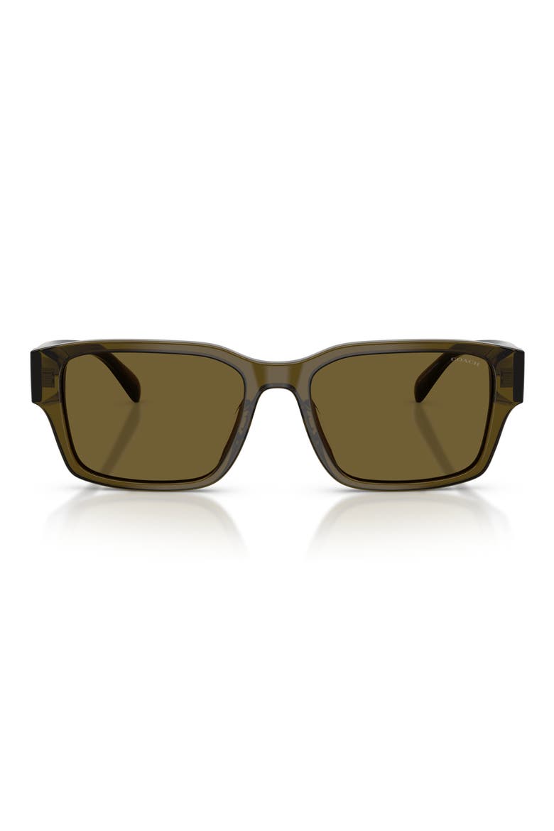 55mm Rectangular Sunglasses, Main, color, TRANSPARENT OLIVE / GREEN