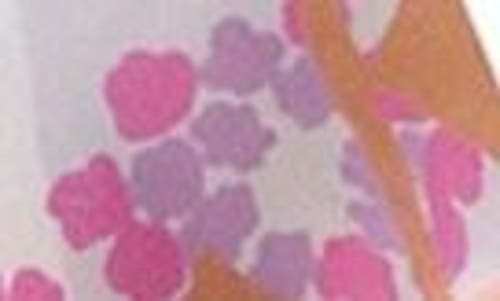 Lost Pattern Frida Garden Print Skinny Silk Scarf In Pink