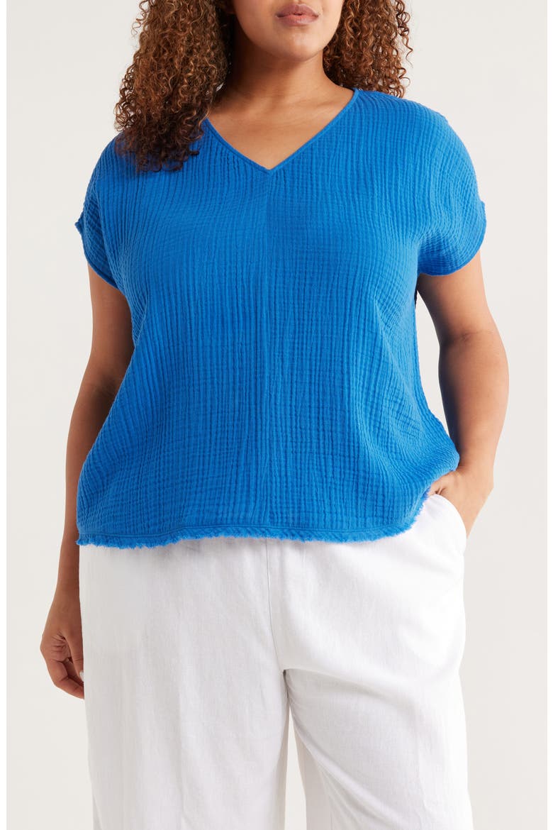 V-Neck Dolman Sleeve Organic Cotton Gauze Top, Main, color, BLUEBIRD