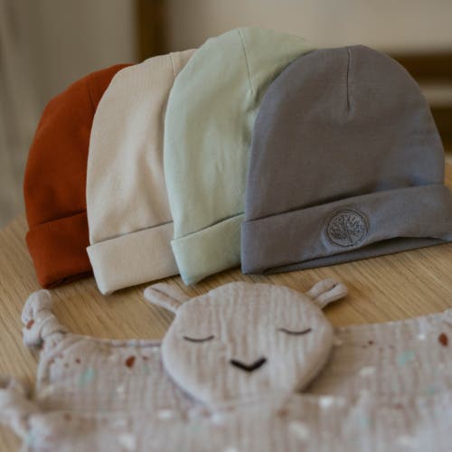 Parker Baby Co. Baby Beanies In Sage/pewter