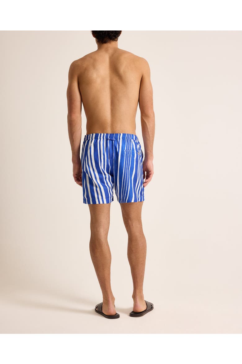 Bulldog Drawcord Mid-Length Classic Fit Drawcord Sun Stripe Swim Shorts, Alternate, color, AERO BLUE