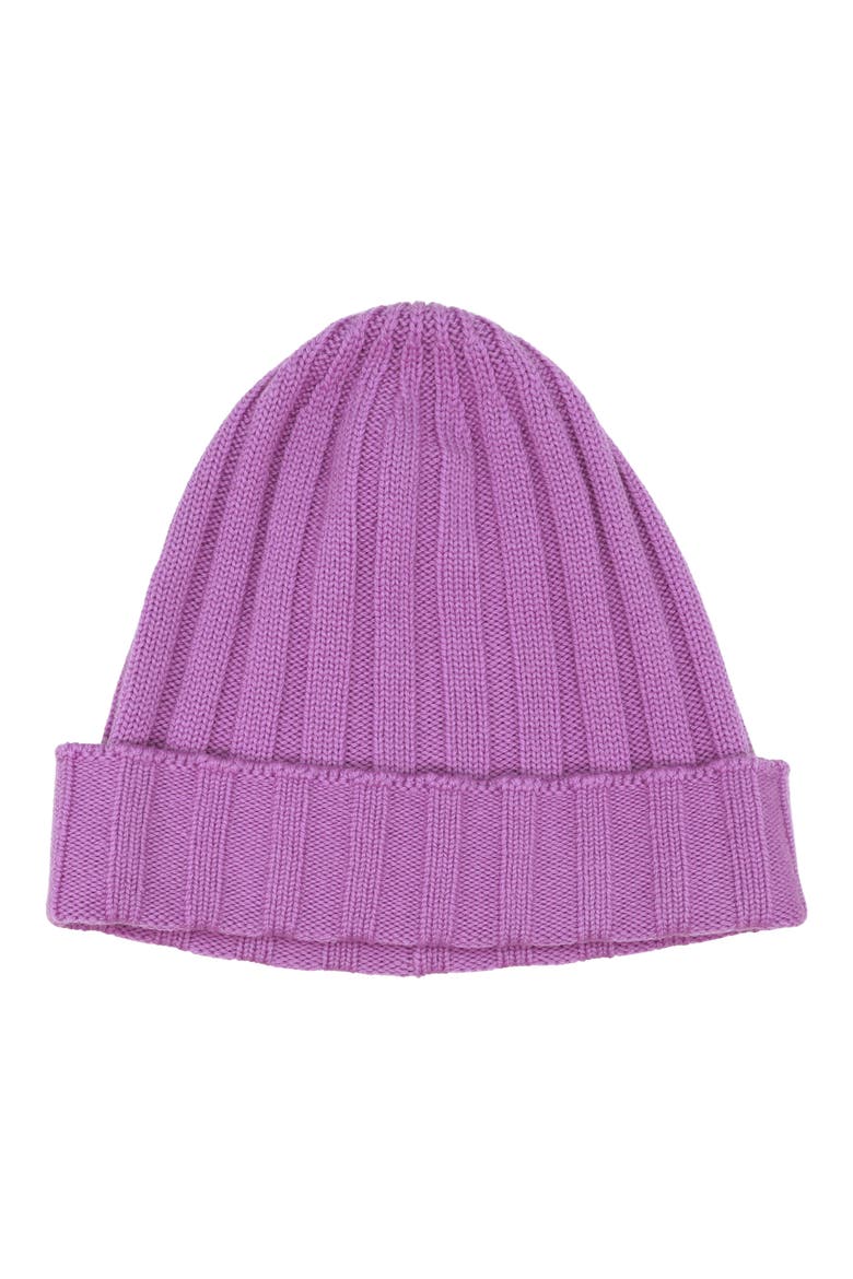 Merino Ribbed Beanie, Main, color, PURPLE