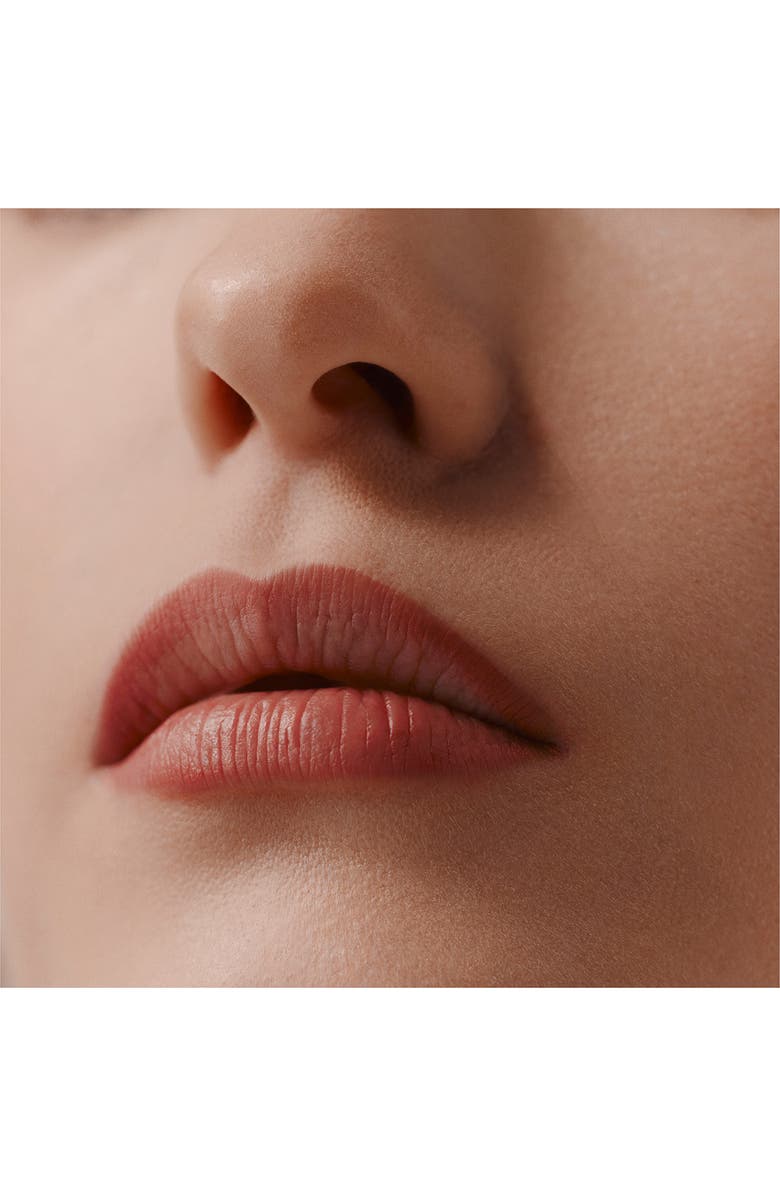 Hermès Trait D'Hermès - Lip Pencil, Alternate, color, 21 Rose Epic